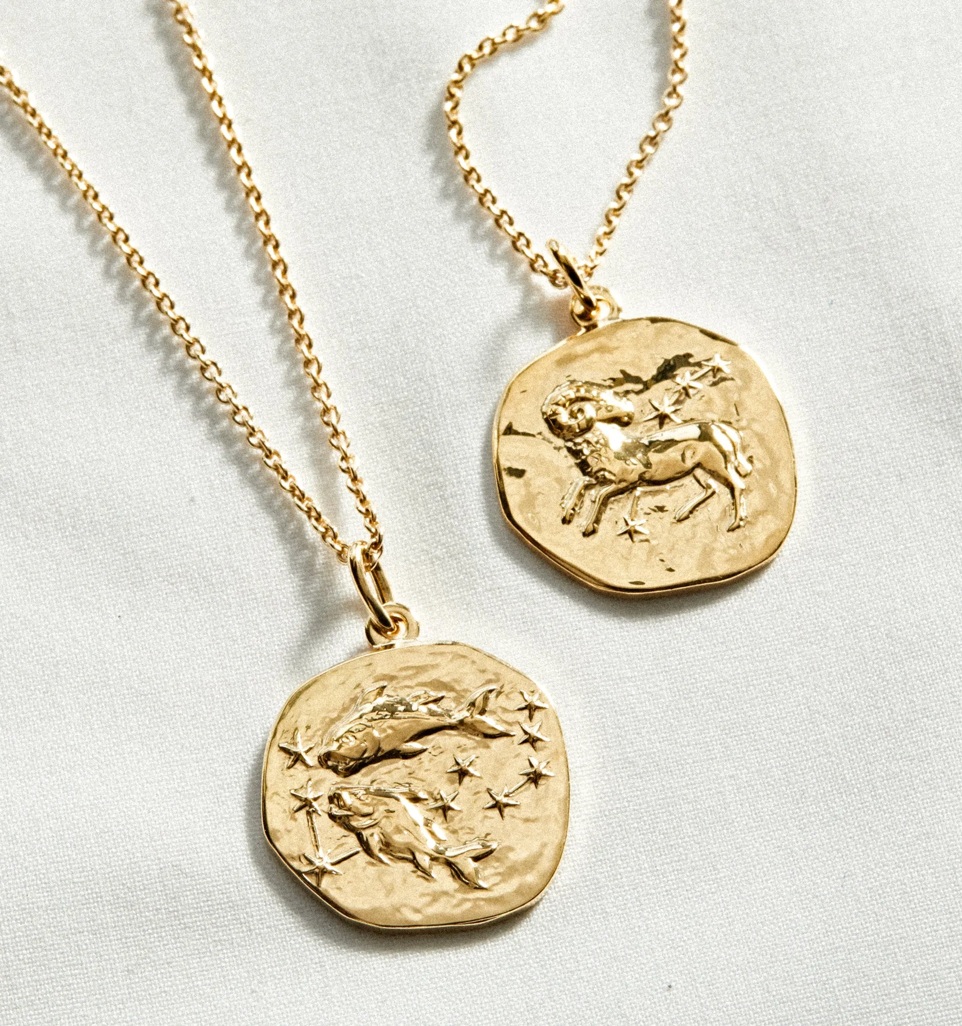 Pisces Zodiac Necklace