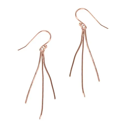 Snake Chain Tassel Earrings